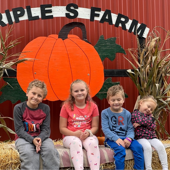 Meet your Posher, Sam - Picture 6 of 7